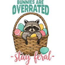 Load image into Gallery viewer, Lazy Raccoon Tee