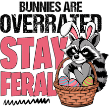 Load image into Gallery viewer, Vintage Style Raccoon Tee